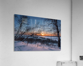 DSC_5948 1 Acrylic Print