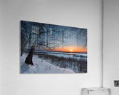 DSC_5951 1 Acrylic Print