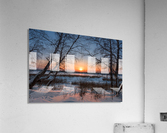 DSC_5953 1    1 Acrylic Print