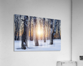 DSC_0347 10     1 Acrylic Print
