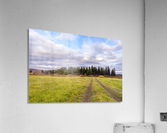 DSC_4723 10 Acrylic Print
