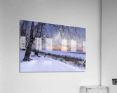 1  DSC_0293 1 Acrylic Print
