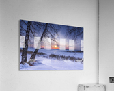 1 DSC_0287 Acrylic Print