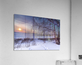 DSC_0280    1 Acrylic Print