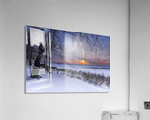 DSC_0293 10    1 Acrylic Print