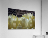 DSC_0529 14 Acrylic Print