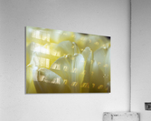 DSC_0534 19 Acrylic Print