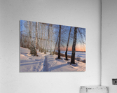 DSC_9729 1 Acrylic Print