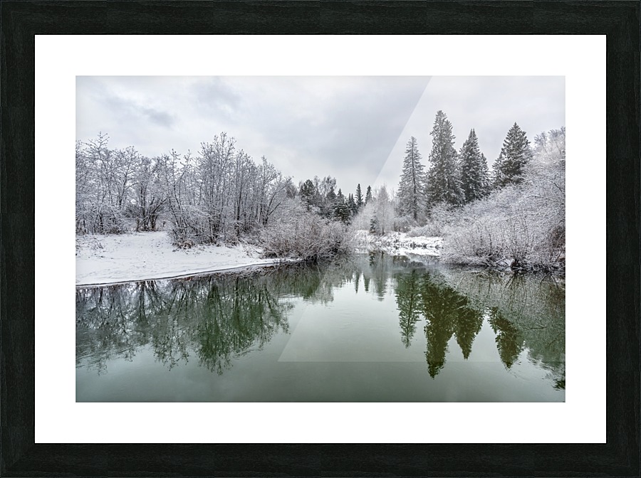DSC_5116 10 Picture Frame print