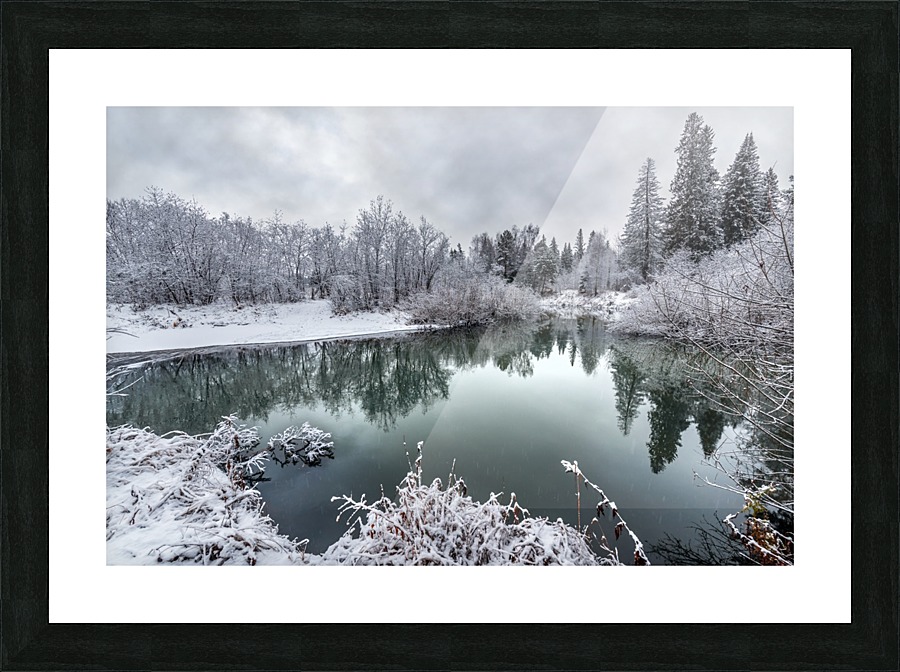 DSC_5118 10   1    V1 Picture Frame print