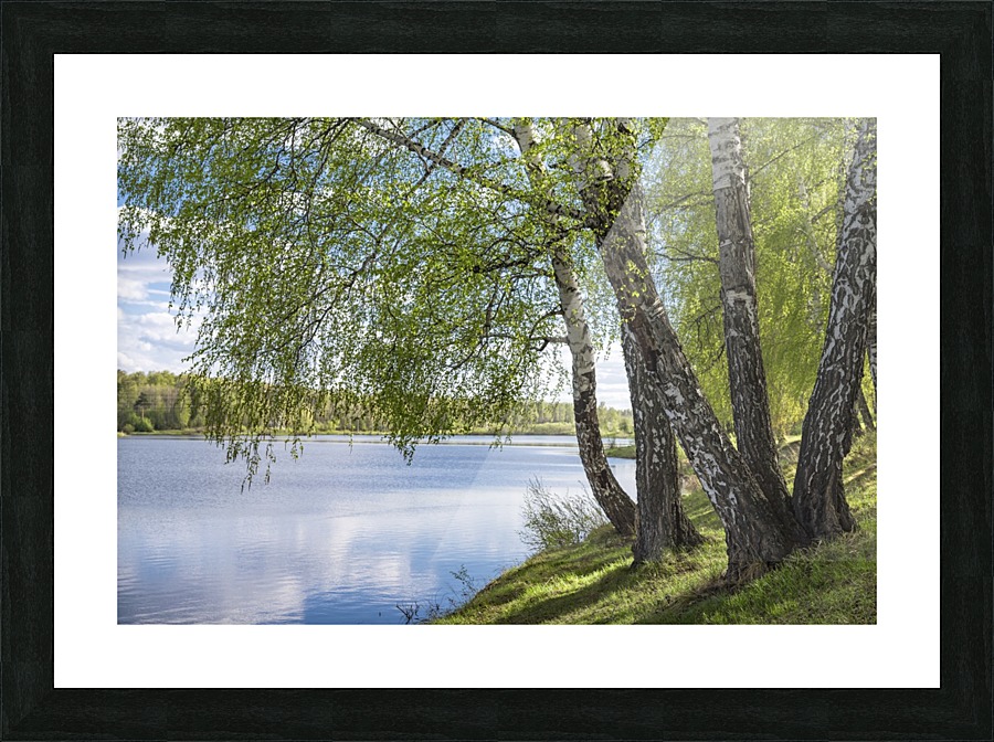 DSC_1273 10 Picture Frame print
