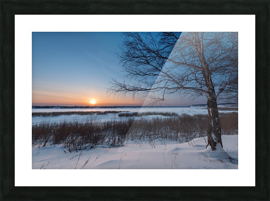 DSC_5952 1 Picture Frame print
