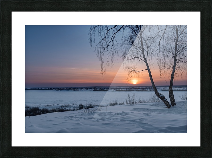 DSC_5963 1 Picture Frame print