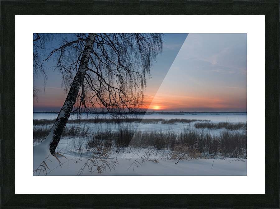 DSC_5970 1 Picture Frame print