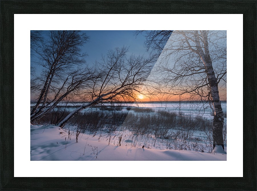 DSC_5948 1 Picture Frame print