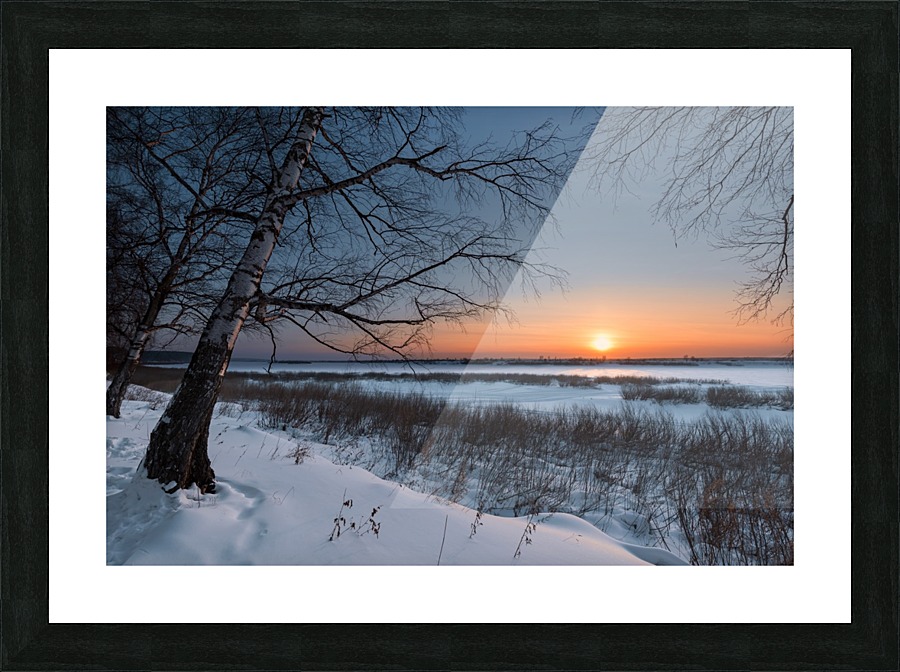 DSC_5951 1 Picture Frame print