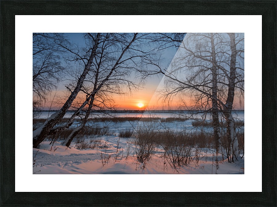 DSC_5953 1    1 Picture Frame print