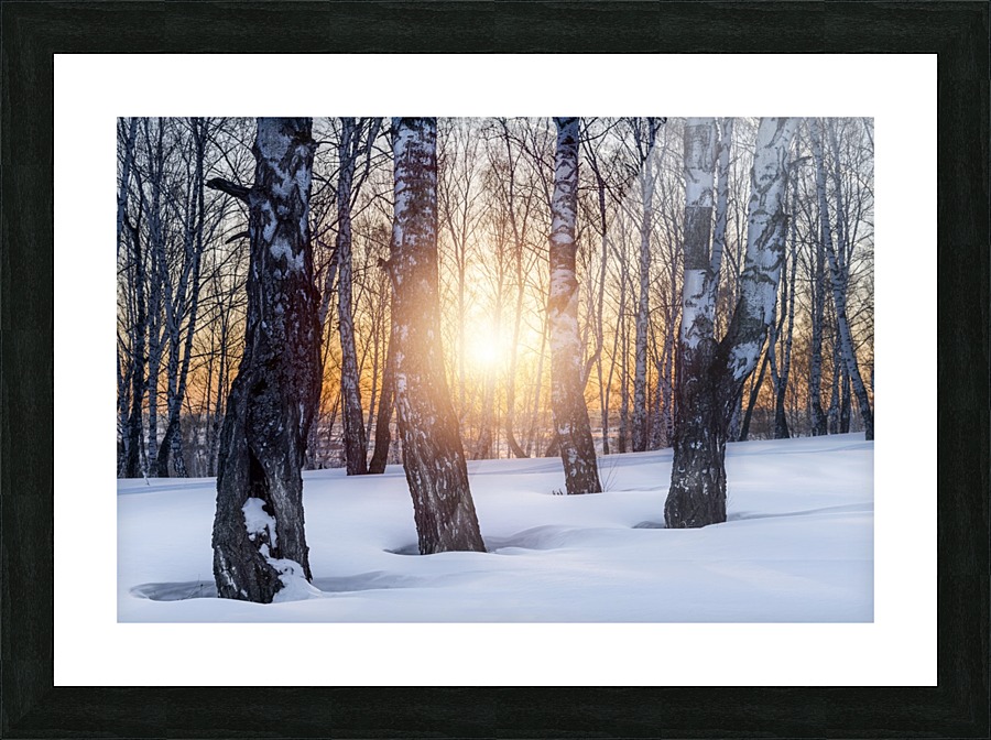 DSC_0347 10     1 Picture Frame print