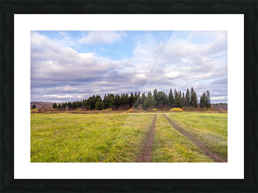 DSC_4723 10 Picture Frame print