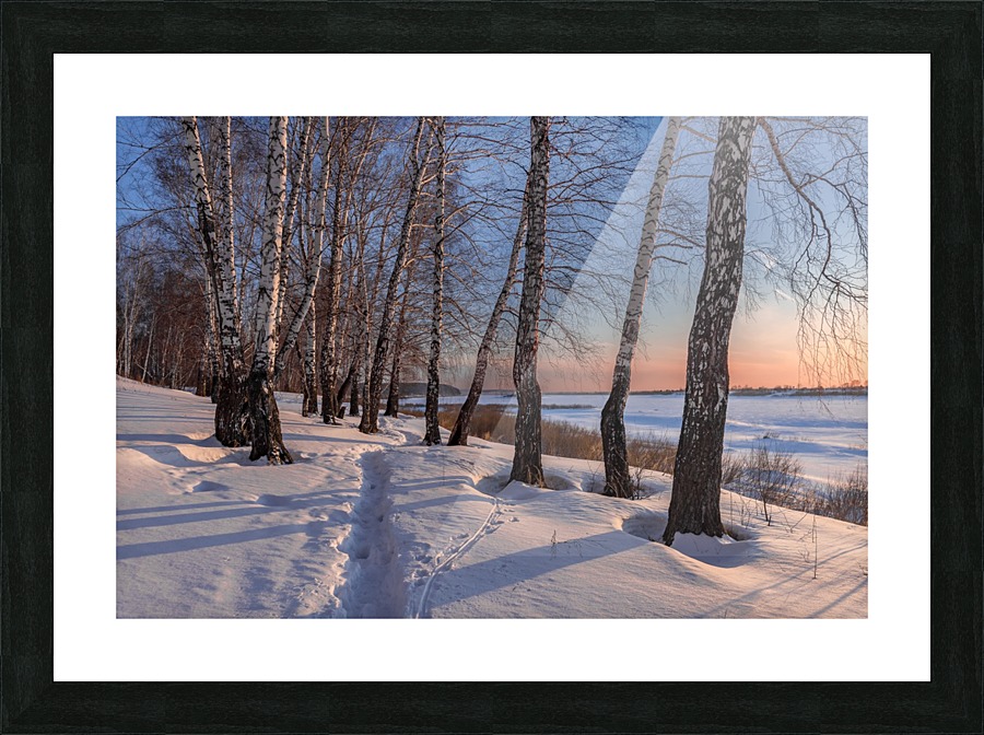 DSC_9729 1 Picture Frame print