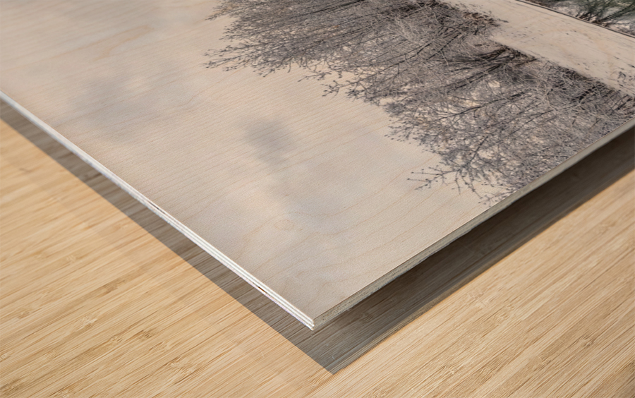 DSC_5116 10 Wood print