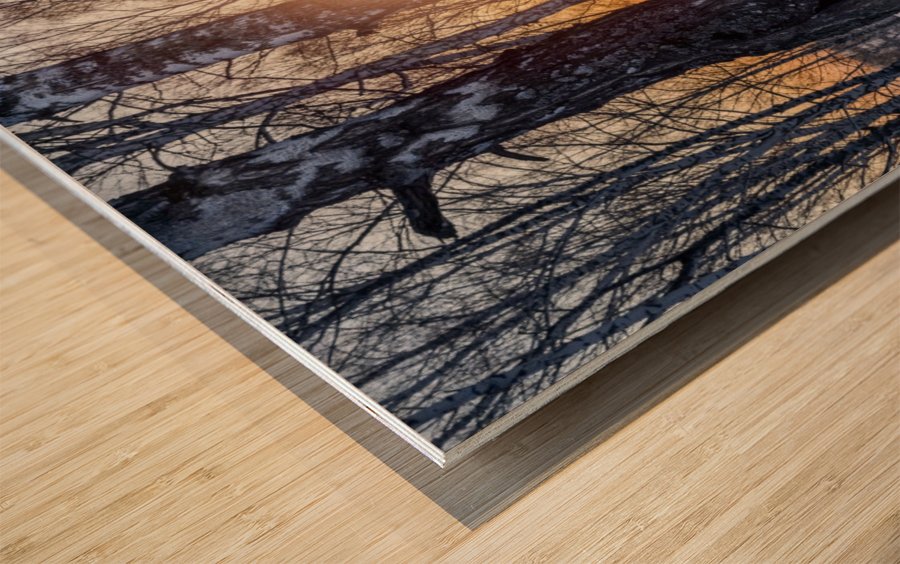 DSC_0347 10     1 Wood print