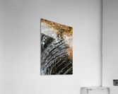 Streaming II Acrylic Print