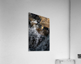 Time Traveller V Acrylic Print