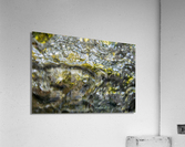 Beneath the Stream Acrylic Print