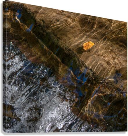 Time Traveller III Canvas Print