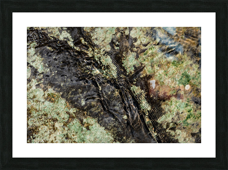 Streambed II Picture Frame print