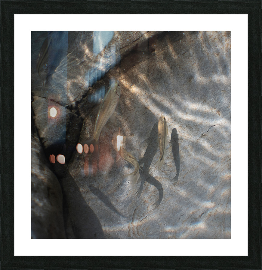 Stream Dwellers I Picture Frame print