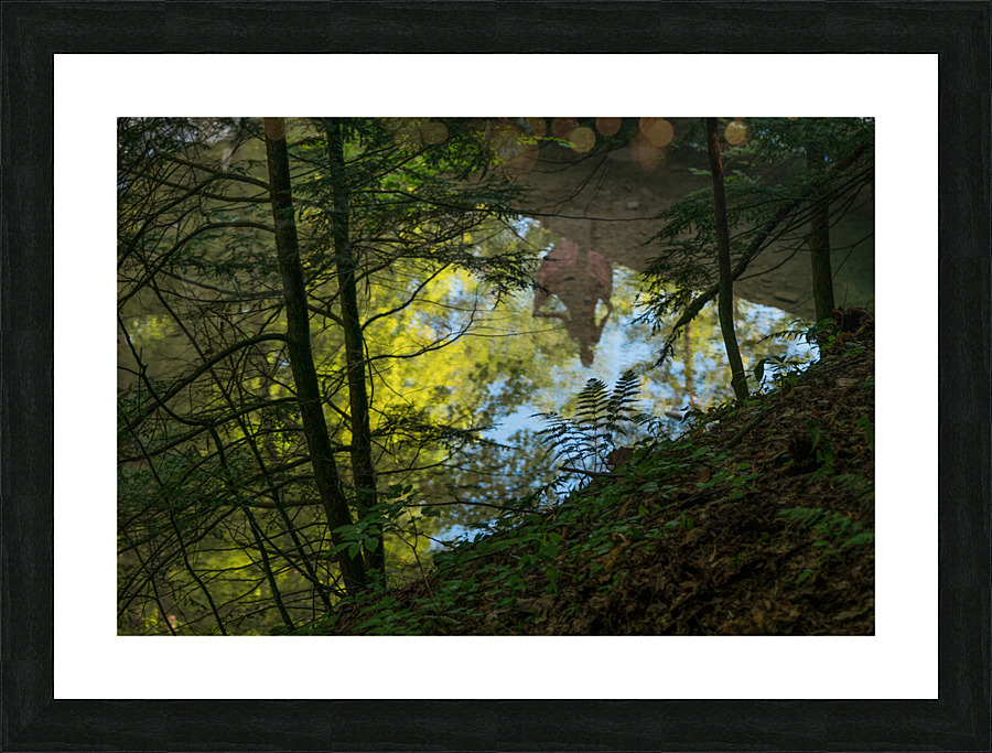 Water Dancer Picture Frame print
