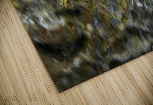 Beneath the Stream David Owen Brown puzzle