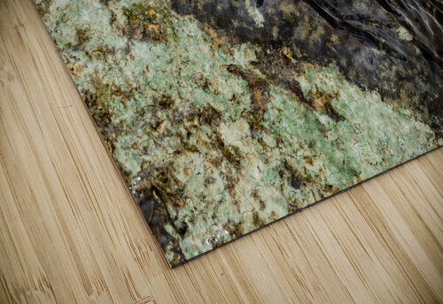 Streambed II David Owen Brown puzzle