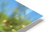 Streaming I HD Metal print