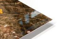 Time Traveller III HD Metal print
