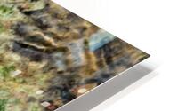 Streambed II HD Metal print