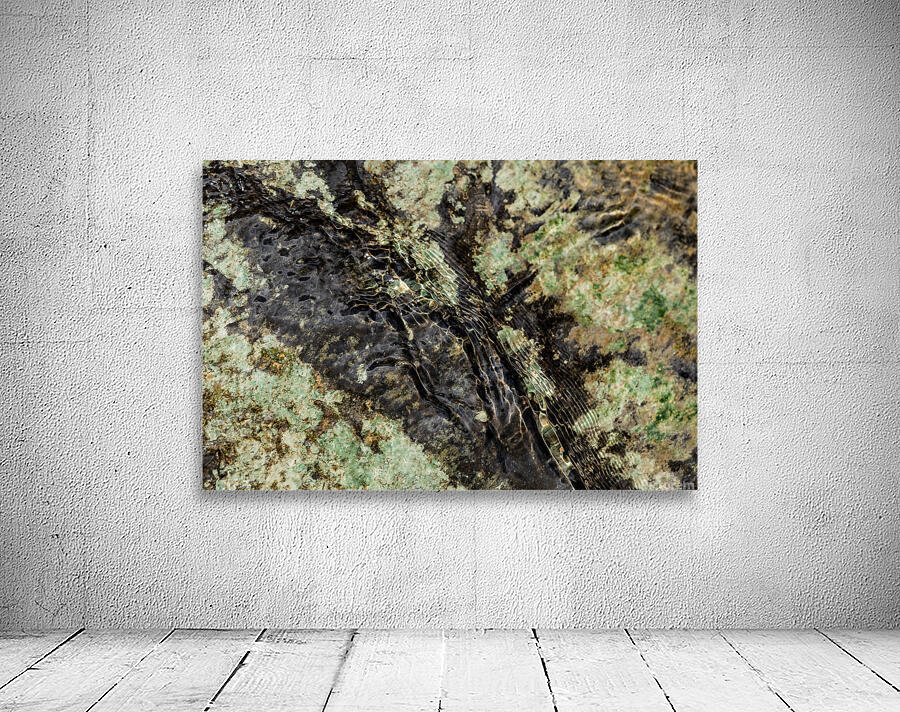 Streambed II Wall Preview