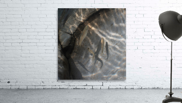 Stream Dwellers I Wall Preview