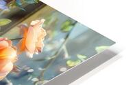 Lucas Florals 4 HD Metal print