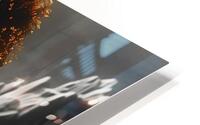 Aurelias Flute 1 HD Metal print