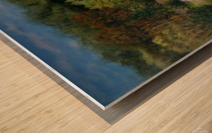 20250303 123016 Wood print