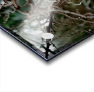 Lim Acrylic print