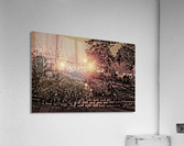 Three Kings Acrylic Print
