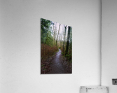 Less Acrylic Print