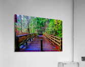 When Acrylic Print