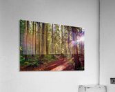 Guide Acrylic Print