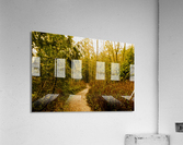 Walk Acrylic Print
