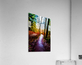 Travel Acrylic Print